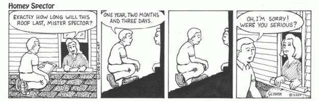 Be-Aware-Home-Inspections-roof-life-comic